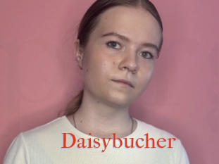 Daisybucher