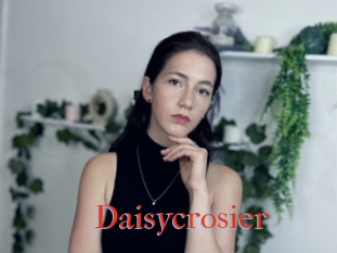 Daisycrosier