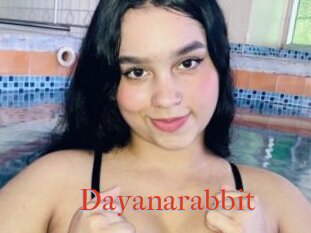 Dayanarabbit