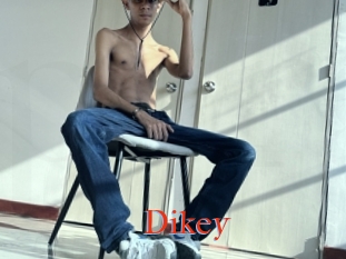 Dikey