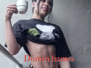 Domin_hamss