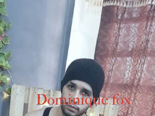 Dominique_fox