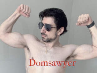Domsawyer