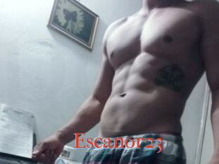 Escanor23