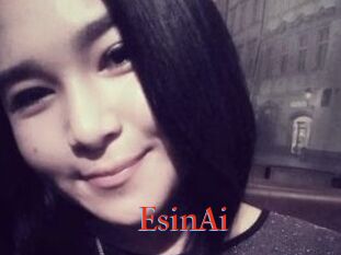 EsinAi