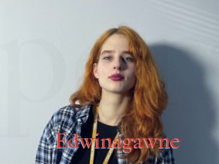 Edwinagawne
