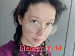 Elenegarfield