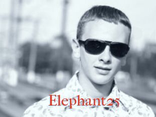 Elephant25