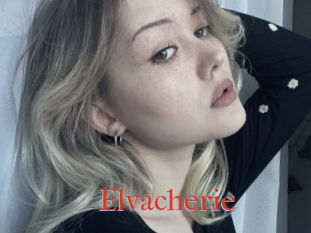 Elvacherie
