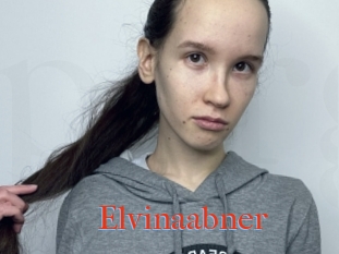 Elvinaabner