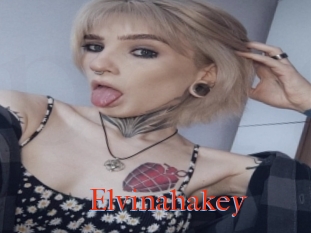 Elvinahakey