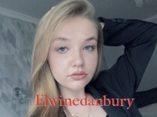 Elwinedanbury
