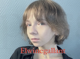 Elwinegallant