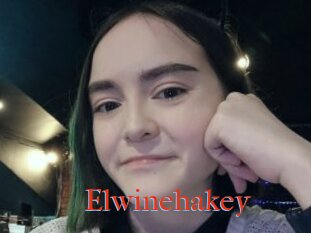 Elwinehakey