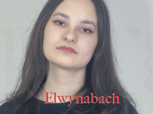 Elwynabach