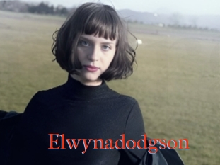 Elwynadodgson