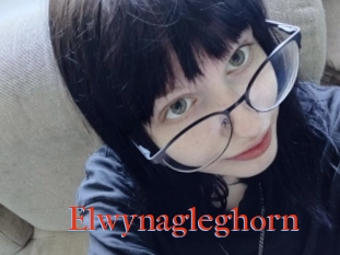 Elwynagleghorn