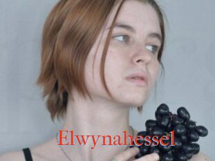 Elwynahessel