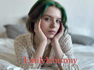 Emilylabunny