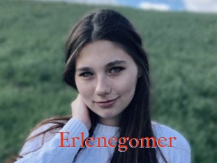 Erlenegomer