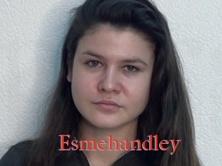 Esmehandley