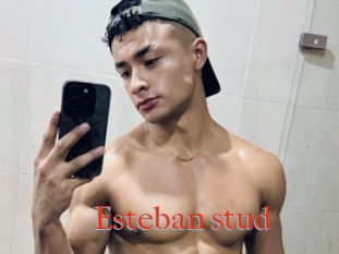 Esteban_stud