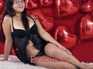 Evaconorr