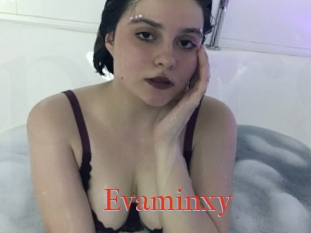 Evaminxy