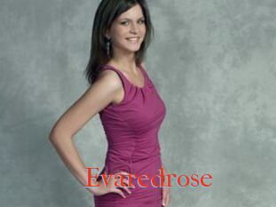 Evaredrose