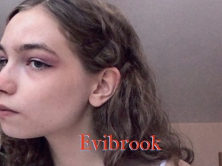 Evibrook