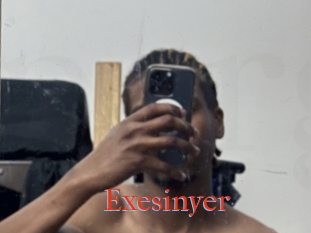 Exesinyer