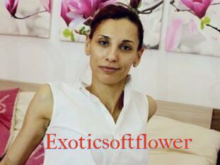 Exoticsoftflower