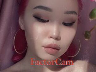 FactorCam