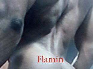 Flamin