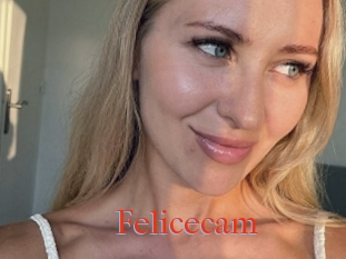 Felicecam