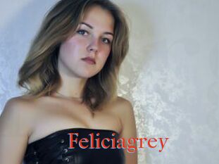 Feliciagrey
