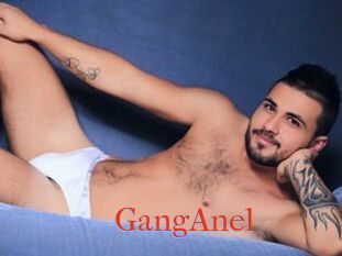 GangAnel