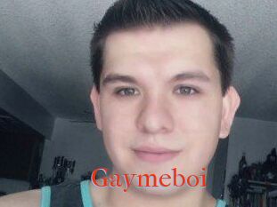 Gaymeboi
