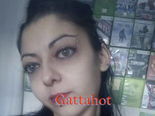 Gattahot