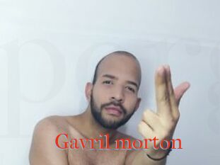 Gavril_morton