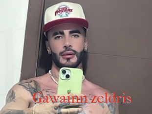 Gawainn_zeldris