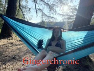 Gingerchronic