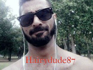 Hairydude87