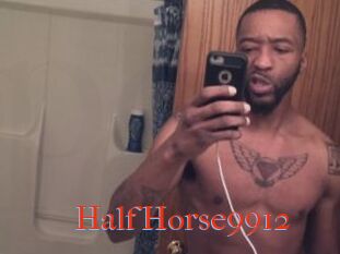 HalfHorse9912