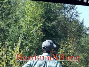 HandsumNHung
