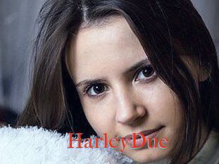 Harley_Due