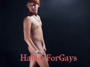 HarleyForGays