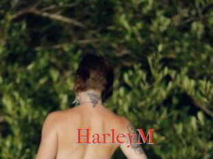 HarleyM