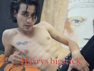 Harrys_bigstick