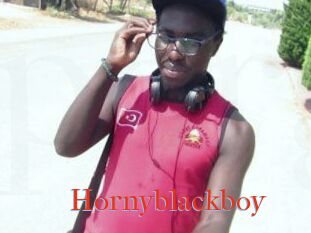 Hornyblackboy